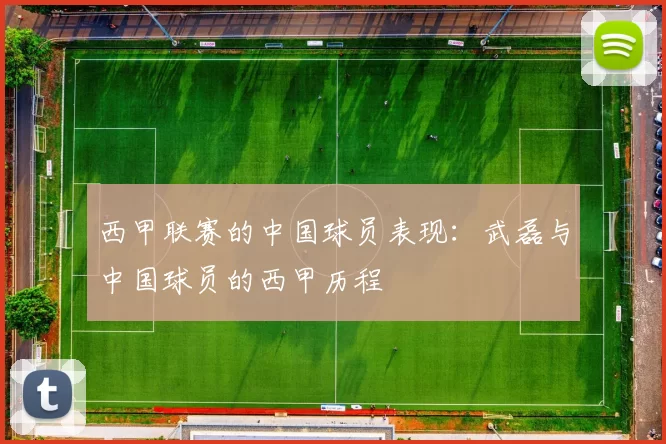西甲联赛的中国球员表现:武磊与中国球员的西甲历程