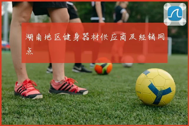 湖南地区健身器材供应商及经销网点