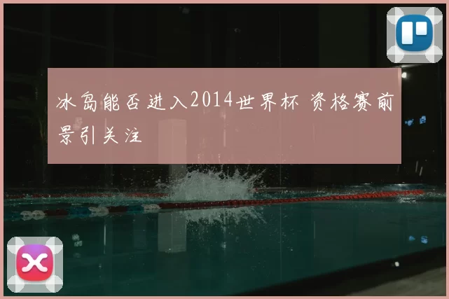 冰岛能否进入2014世界杯 资格赛前景引关注