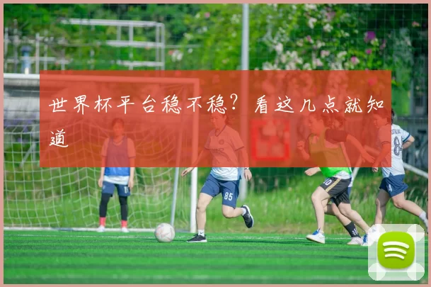 世界杯平台稳不稳？看这几点就知道