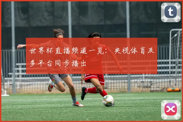 世界杯直播频道一览:央视体育及多平台同步播出
