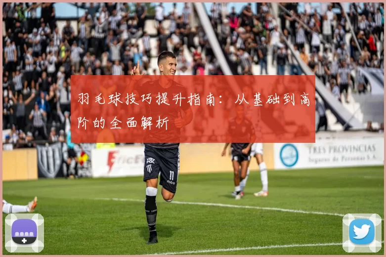 羽毛球技巧提升指南：从基础到高阶的全面解析