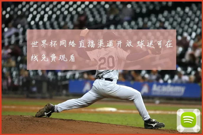 世界杯网络直播渠道开放 球迷可在线免费观看