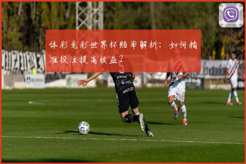 体彩竞彩世界杯赔率解析：如何精准投注提高收益？