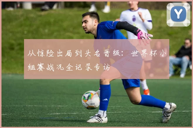 从惊险出局到头名晋级：世界杯小组赛战况全记录专访